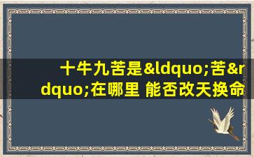 十牛九苦是“苦”在哪里 能否改天换命(十牛九苦的“苦”，到底在哪里？改天换命，用心感悟，走向人生巅峰！)